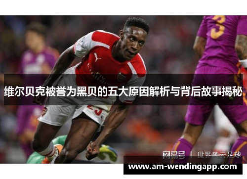 维尔贝克被誉为黑贝的五大原因解析与背后故事揭秘 维尔贝克被誉为黑贝的五大原因解析与背后故事揭秘