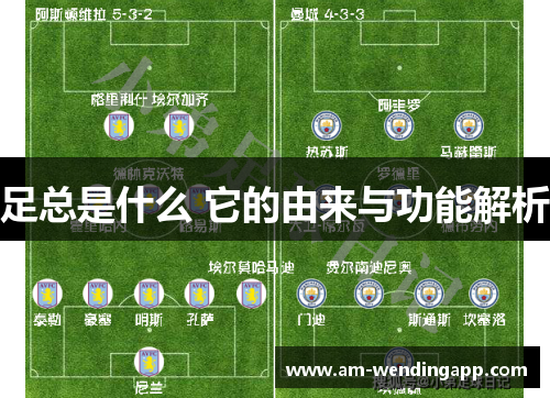 足总是什么 它的由来与功能解析 足总是什么 它的由来与功能解析