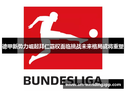 德甲新势力崛起拜仁霸权面临挑战未来格局或将重塑 德甲新势力崛起拜仁霸权面临挑战未来格局或将重塑