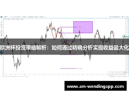 欧洲杯投资策略解析：如何通过精确分析实现收益最大化