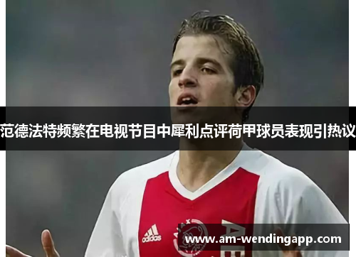 范德法特频繁在电视节目中犀利点评荷甲球员表现引热议