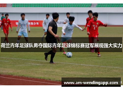 荷兰青年足球队勇夺国际青年足球锦标赛冠军展现强大实力