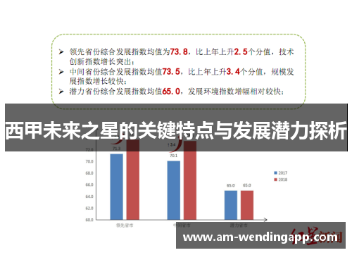 西甲未来之星的关键特点与发展潜力探析